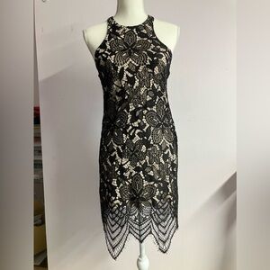 Women’s Contoured Lace Mini Dress, Size XS, Black Lace Overlay, by Express